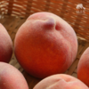 生态黄金蜜桃 | 合作生产*  Ecological peach | Partner Production 商品缩略图1