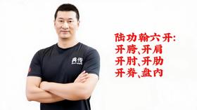 【典传】陆功翰筑基核心六大开：开胯、开肩、开肘、开肋、开脊、盘内