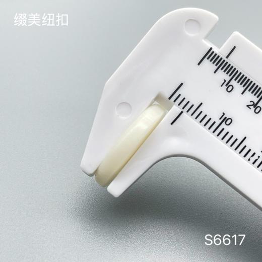 S6617(整包购买) 商品图5