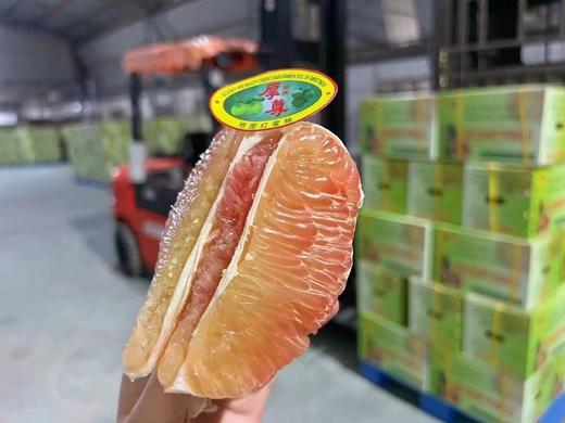 【会员49.5/颗】厚尊地图翡翠红心蜜柚 剥肉请备注 商品图4