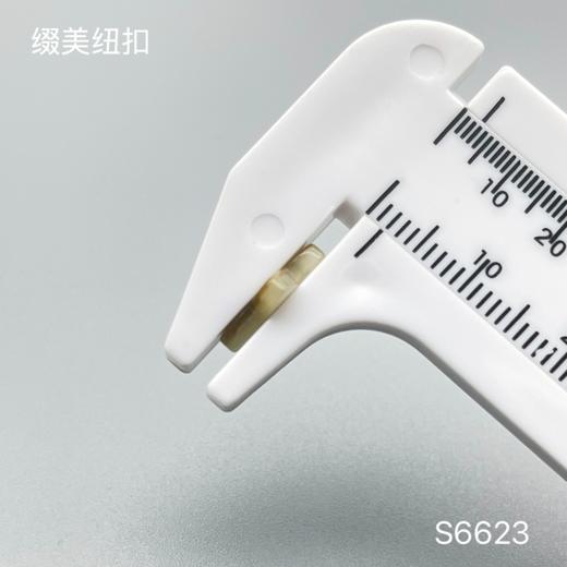 S6623(整包购买) 商品图3