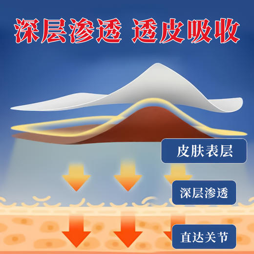 金牌金门一条根精油贴布 商品图2