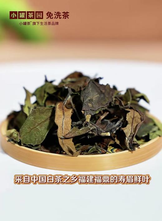 小罐茶园福鼎寿眉白茶陈香枣香一级口粮生活茶叶自己喝小罐茶出品 商品图6