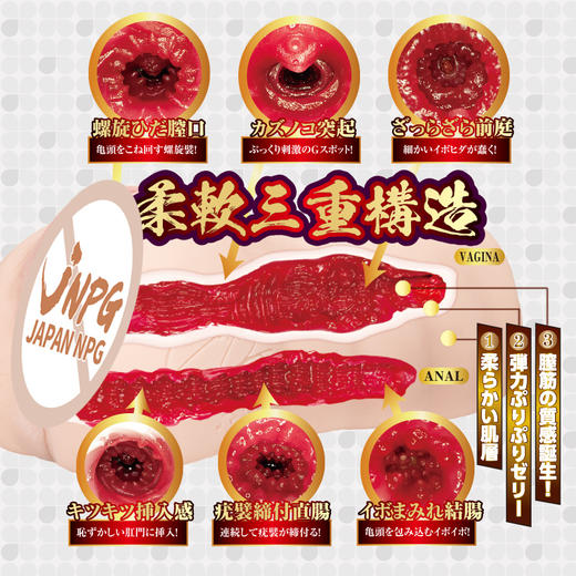 JNPG日本进口森日向子自慰名器倒模膜飞机杯 商品图1