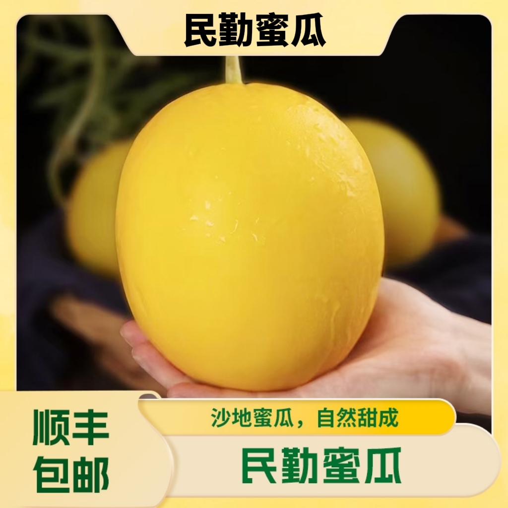 【博士专属】民勤蜜瓜 沙漠中的甜蜜奇迹 肉厚脆甜 顺丰包邮