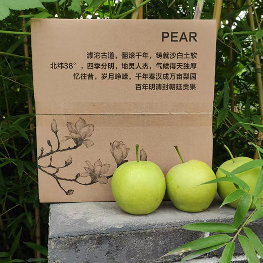 【48小时内发货】基地直发 | 皇冠梨 | 河北石家庄 商品图5