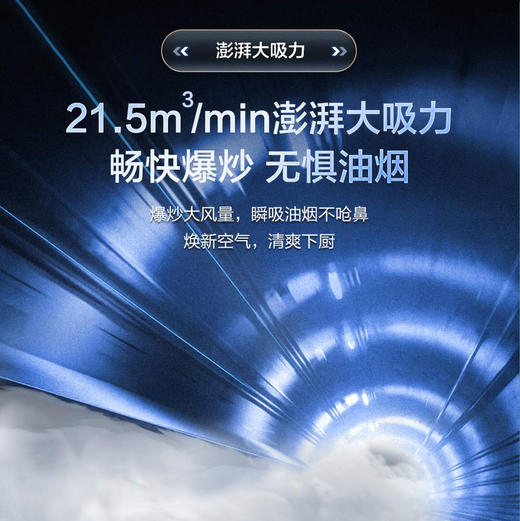 海尔（Haier）烟机 CXW-219-E900T23 商品图4
