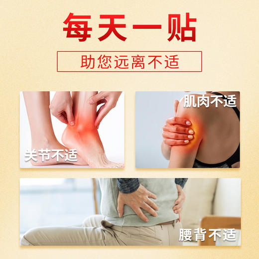 金牌金门一条根精油贴布 商品图3