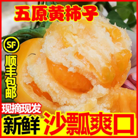 [最农公社]顺丰主推|全网爆款正宗内蒙古五原黄柿子3斤5斤新鲜采摘黄色西红柿番茄