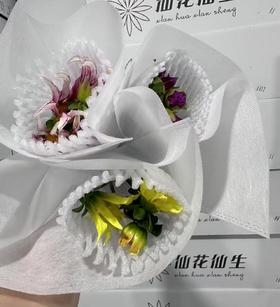 配花 | 大丽花单瓣随机色