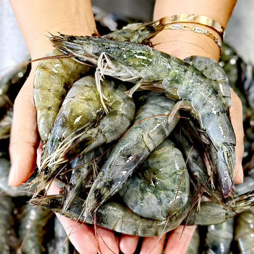 【下单后48小时发货】印尼生态白对虾 盐冻虾1.65kg/盒 商品图5