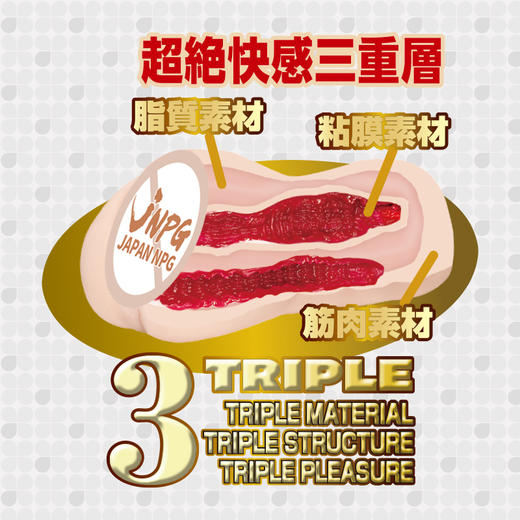 JNPG日本进口森日向子自慰名器倒模膜飞机杯 商品图3