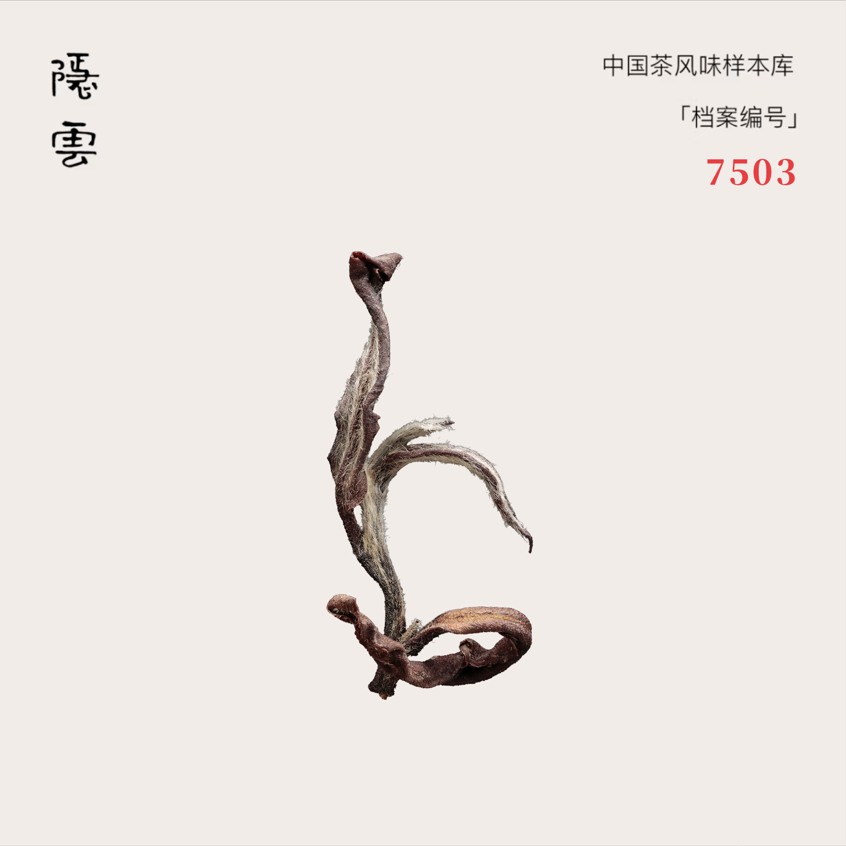 馥时·熙 | 2025年东方美人