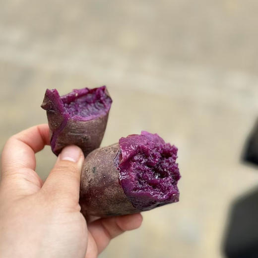 【紫薯】云南产区的大紫薯，和以往的紫薯感觉有很大区别，这个细腻甜蜜，很好吃！ 商品图0