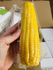 #非转基因急速锁鲜玉米棒，＃微波炉5分钟即可特别方便，来自肥沃黑土地，甜糯，吃到停不下来，爱到不想结束。 商品缩略图5