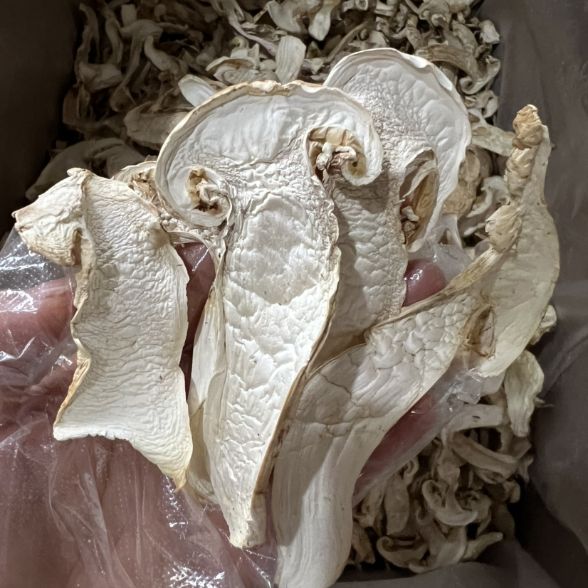 【香格里拉松茸】 去皮干片 /可免费代打粉/ 新货包邮