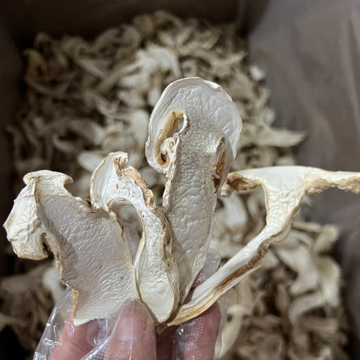 【香格里拉松茸】 去皮干片 /可免费代打粉/ 新货包邮 商品图1