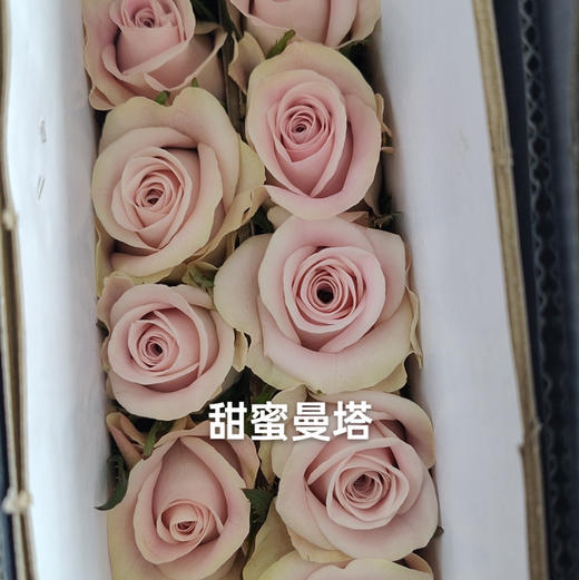 玫瑰.甜蜜曼塔 商品图1