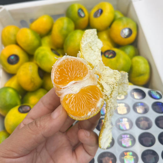 【高山 蜜桔】 高山蜜桔 ，当季时令鲜果，橘子特点皮薄肉嫩，口感好水分好，秋季补维C的好鲜果！ 商品图4