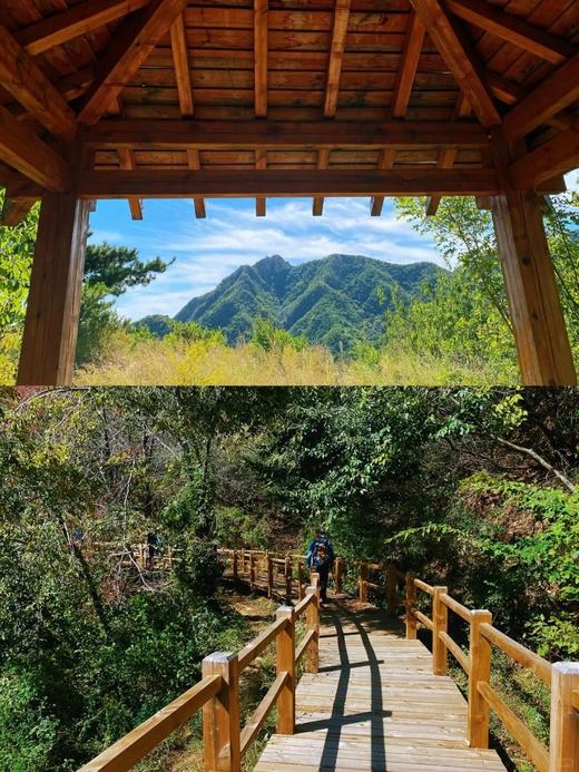 【2H公益时长】栗栗皆欢喜，昌平湖门村秋收志愿者招募！村游+采集体栗+特饮＋吃炒油栗，赚3小时志愿时长，69.9元助力乡村振兴！ 商品图4