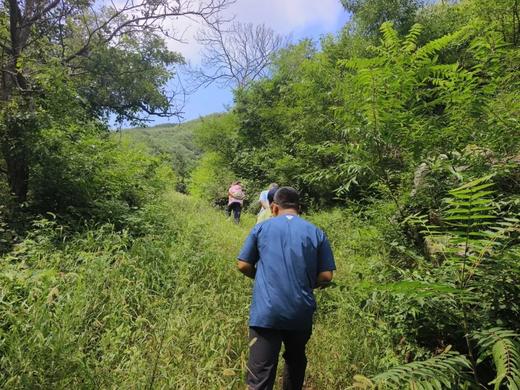 【2H公益时长】摘！砸！开！周末带娃赌个乾隆皇帝同款文玩核桃盲盒 商品图4