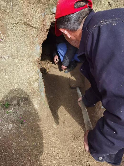 金标：九蒸九晒老姜片 商品图7