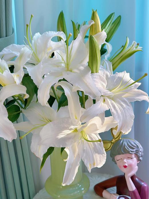 3月7日更新【团购计划】品种自选（品级等级C级） 商品图8