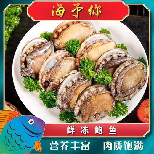 海予你熟冻大鲍鱼 商品图0