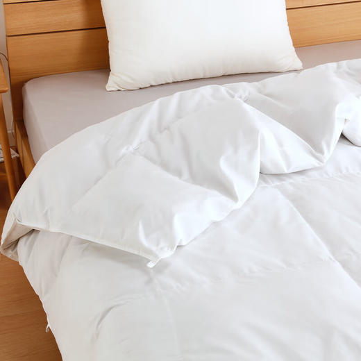 加厚羽绒被GDD93 商品图2