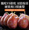 新疆法兰西西梅500g左右 商品缩略图0