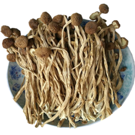 酉阳土家族苗族自治县武陵山茶树菇200克