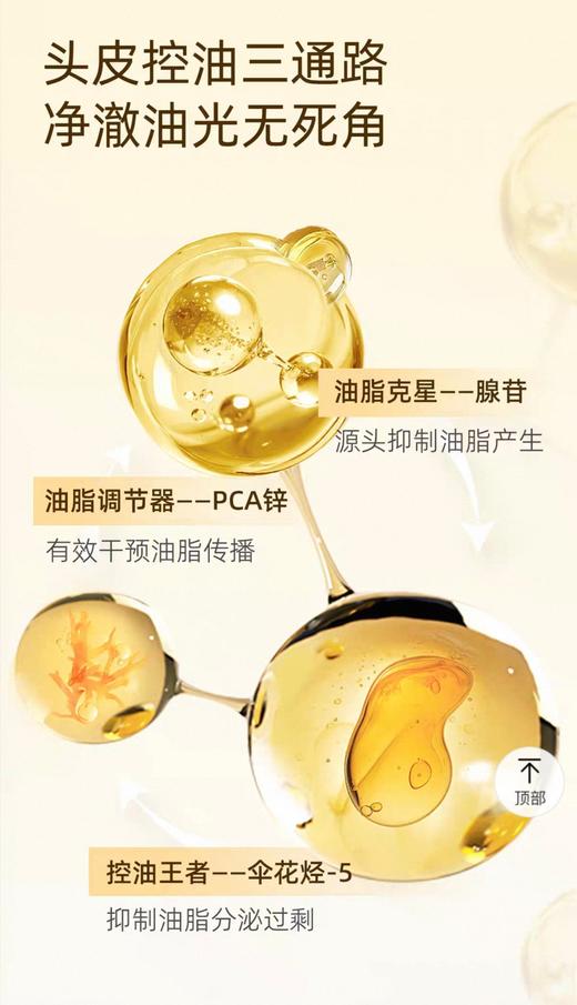 澳洲ficceCode菲诗寇生姜洗发水450ml 商品图5