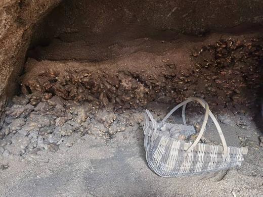 金标：九蒸九晒老姜片 商品图4