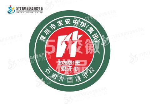 定制深圳市宝安中学（集团）石岩外国语学校熨烫校徽服姓名51 商品图1