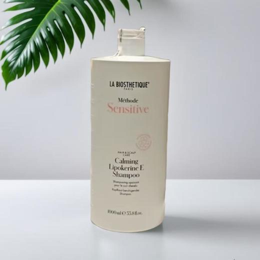 贝伊丝舒缓洗发露 1L/瓶 商品图0