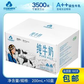 云边的卓玛3.6蛋白纯牛奶三箱