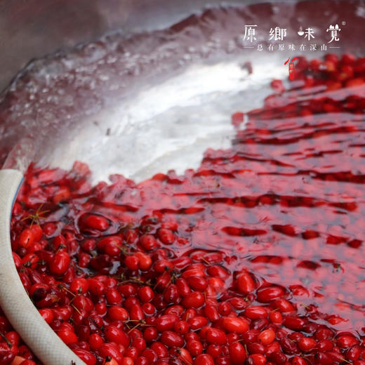 秦岭野态 · 山茱萸蜜膏（基地直发-韵达包邮）|150克/罐，来自陕西秦岭，生产者：刘蜜书古法养蜂保育会【合作生产，公平贸易】 商品图9