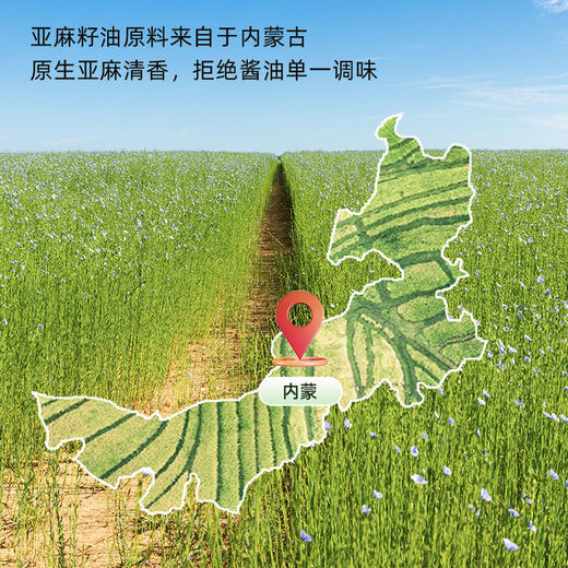 【限时秒杀】【买4赠2到手6瓶】草牧里 亚麻籽油醋汁 270g/瓶 拌菜来一勺酸鲜又下饭 商品图1