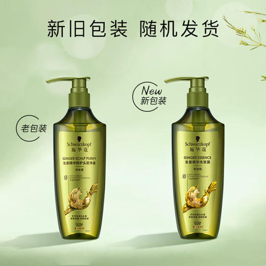 施华蔻生姜精华洗发露 控油型 400ML+60ml旅行装（香型随机） 商品图5