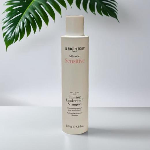 贝伊丝舒缓洗发露 250ml/瓶 商品图0