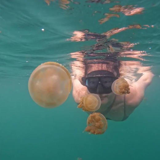 印尼诺亚马拉图度假村 商品图2