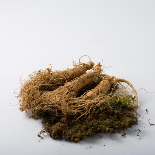 优选|长白山鲜人参  秋冬滋补不怕火 参味鲜灵 炖鸡煲汤/泡水喝 150g 商品图6