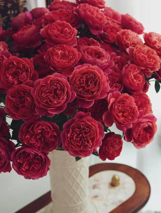 果汁系列多头玫瑰【不是夏日限定，是来日方长】简小姐精选新品 果汁多头玫瑰 10枝 2件包邮 顺丰空运直发 商品图2