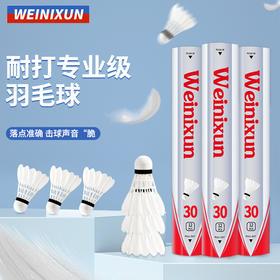 真的很耐打！【飞行稳定，休闲娱乐，高性价比！】羽毛球初级练习 娱乐训练球 成人学生业余羽毛球 天然优质 精选鸭毛 尽情玩耍-QB