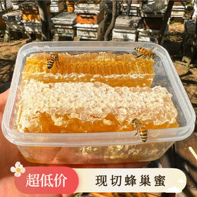 【农家自产❗️整张切割蜂巢蜜】蜜蜂采集荆条花蜜而成，产量稀缺，深山放养 无污染，远离城市的喧闹，农家自产嚼着吃土蜂蜜巢块，蜂巢蜜槽蜂窝盒装巢蜜L