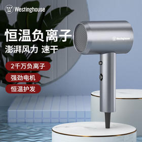 西屋（Westinghouse）家用负离子护发吹风机大功率大风力风筒 H107远航灰