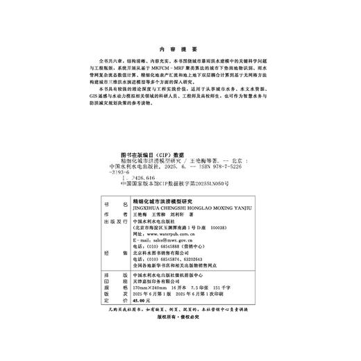 精细化城市洪涝模型研究 商品图2