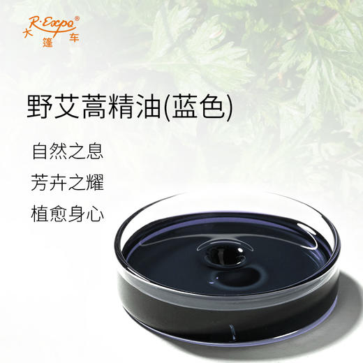 野艾蒿精油（蓝色）Artemisia Lavandulaefolia 原料批发芳疗护理 商品图1