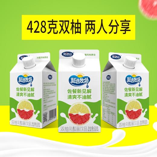 完达山甄选牧场双柚乳酸菌饮品小盒装310g和428g两种规格可选 商品图5