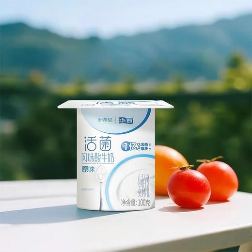 新希望 华西 活菌 原味 风味酸牛奶 100g*8瓶/组 商品图4